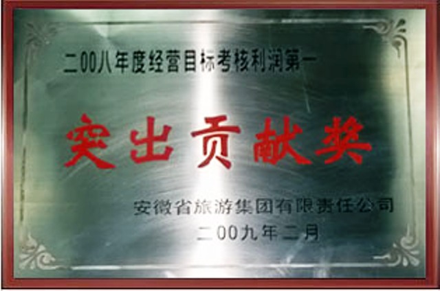 2008突出贡献奖