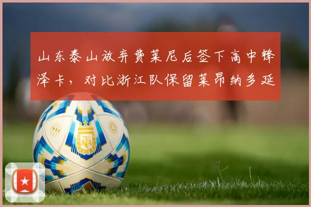 山东泰山放弃费莱尼后签下高中锋泽卡，对比浙江队保留莱昂纳多延续金靴战术价值