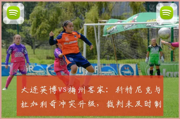 大连英博vs梅州客家：科特尼克与杜加利奇冲突升级，裁判未及时制止致场面失控？